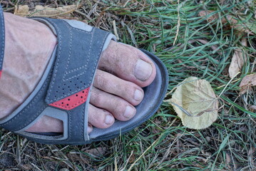 one leg of a man in a gray rubber summer sandal stands on green grass in nature
