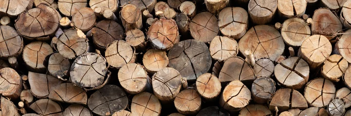 Photo sur Plexiglas Texture du bois de chauffage Fond de rondins de bois. La Coupe transversale.