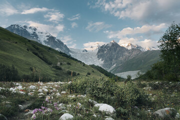 An amazing view on the Shkhara Glacier in the Greater Caucasus Mountain Range in Georgia, Svaneti Region, Ushguli. Snow-capped mountains. Mount Shkhara. Melting Glacier. Climate change. Ice, cold.