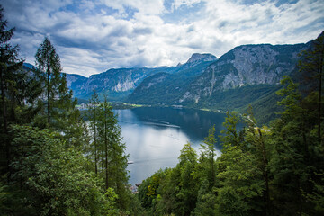 Fototapeta na wymiar Hallstätter See mit Bäumen im Vordergrund