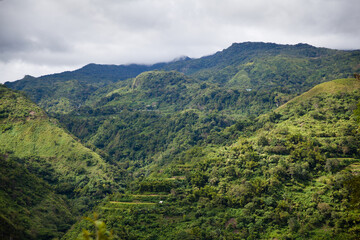Fototapeta na wymiar Large forest mountain valley. The tops of the mountains are covered with rainforest. Mountain landscape, nature of the Philippines.