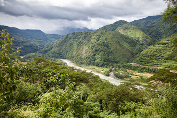 Beauty nature landscape. River in a mountain gorge. Water flow. Tropical trees and mountain river in the Jungle. The nature of the Philippines.