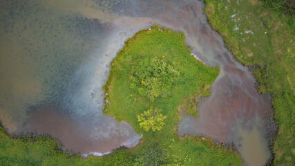 Bird's eye view of Costa Rican wetlands