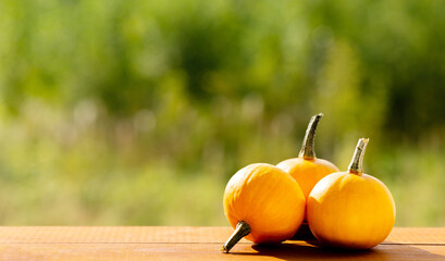 Three ripe mini pumpkins on a wooden table outside.