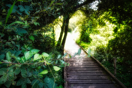 Agreable 이미지 – 찾아보기 136 스톡 사진, 벡터 및 비디오 | Adobe Stock