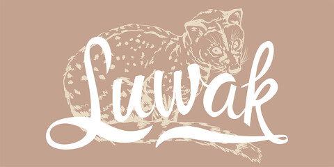 horizontal banner Hand drawn realistic sketch of asian Luwak or toddy cat for your brand, cafe or shop.