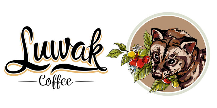 Luwak coffee good for symbol icon. Luwak coffee logo vector for your brand label,cafe or shop.