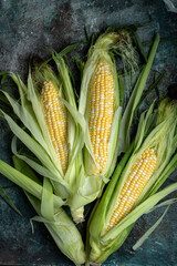Raw corn or maize on dark background. Harvest food concept.