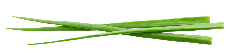 Green Onion isolated on white background, full depth of field, clipping path