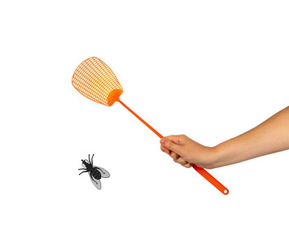 Fly Swatter, Flyswatter, Bug Swatter Isolated
