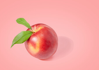 peach on pink pastel background