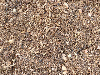 dry garden mulch wood shavings cut woodchips groundcover landscaping cover winter flower protection - obrazy, fototapety, plakaty