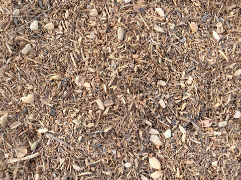 dry garden mulch wood shavings cut woodchips groundcover landscaping cover winter flower protection