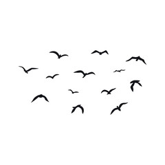 A flock of flying silhouette birds. Vector illustration