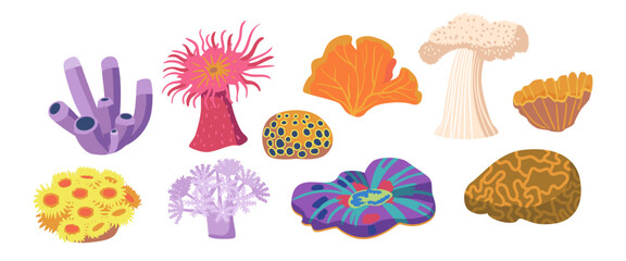 Set of Underwater Vegetation, Seaweeds, Plant Leaves, Isolated Marine Or Aquarium Grass. Ocean And Undersea Life