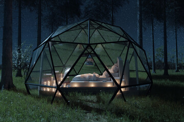 3D rendering of geodesic dome hut with glass panels in front of pine trees at night - obrazy, fototapety, plakaty