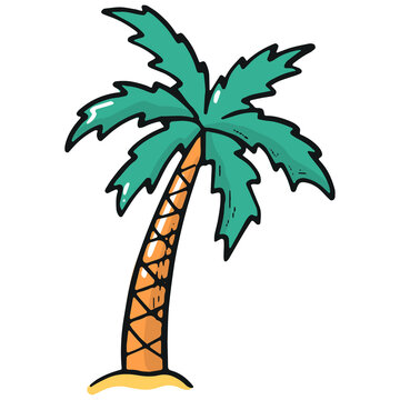 hand drawn palm tree in cartoon, doodle style. PNG sticker, clipart, decor element.
