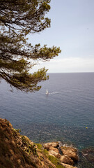 El paisaje del barco