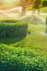 Automatic garden irrigation system watering green garden. - obrazy, fototapety, plakaty
