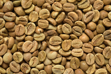 Pile of green robusta coffee beans background or texture.