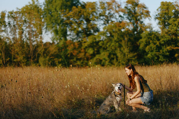 A woman plays and dances with a husky breed dog in nature in autumn on a field of grass and smiles at a good evening in the setting sun