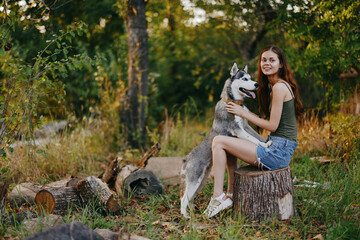 Fototapeta premium A young woman walks with a husky dog ​​in the forest sitting on a stump near an old village house in the forest among the trees