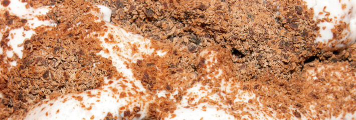 Creamy ice cream with chocolate chips.Ice cream with chocolate.Ice cream background.