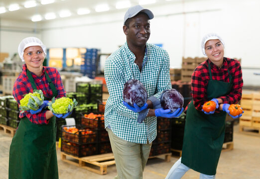 Positive vegetable warehouse workers, african-american man and caucasian women, holding vegetables and dancing.