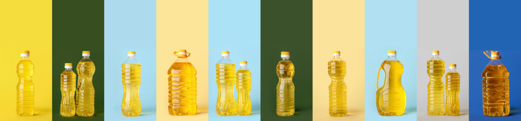 Many bottles of sunflower oil on colorful background