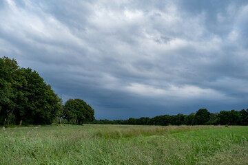 field and blue sky