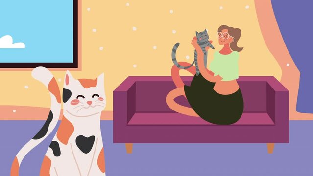 cute domestic cat with owner animation