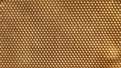 Honeycomb close-up. Reticulated hexagon.