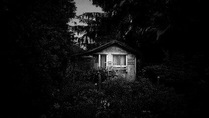Old scary wooden cabin in the forest in black and white.