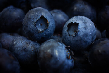 Macro shot of blueberry with water drops