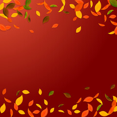 Falling autumn leaves. Red, yellow, green, brown c