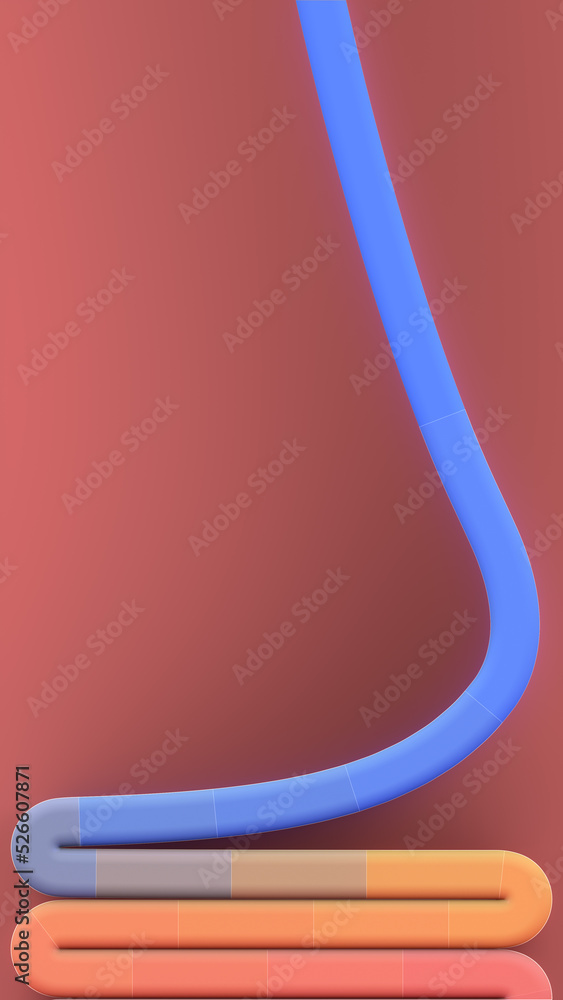 Poster Colorful multi-colored lines. Modern squiggly abstract flow. Trendy background design. 3d rendering digital illustration