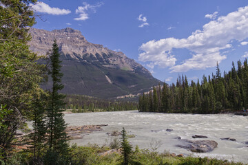 Athabasca Falls in the Summer