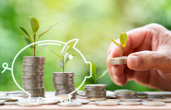 Hand putting coin with plant on coin stack growing graph with green bokeh background,investment concept.tree growing on coin,Business Finance, Earning ,Benefit,Capital and Save Money concept