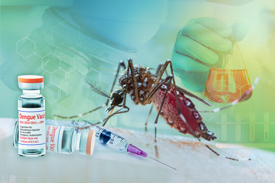 Aedes aegypti mosquito with vial DHF vaccine concept for vaccine anti mosquitoes cause born disease,Laboratory research,Medical science vaccine testing,macrophotography,tropical disease,3d rendering