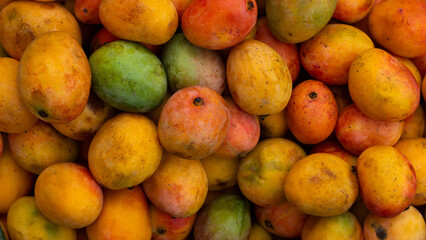 Mangifera indica - Mango at farmers' market