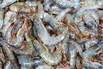 수산시장의 새우