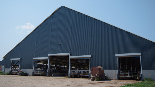 Big modern cow shed on agricultural rural ranch. Exterior livestock facility