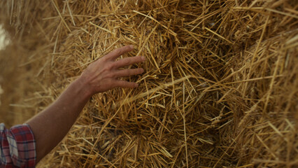 Hand examining straw bale closeup. Farmer arm running hay stack at countryside.