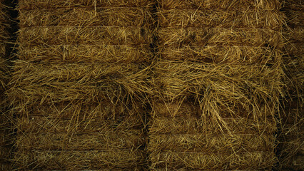 Heap hay lying wheat field on cropping season closeup. Autumn ranch lifestyle