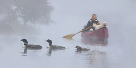 woman,dog, and loon on a lake during morning