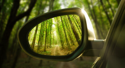 The reflection of the forest in the mirror of an expensive car.