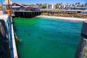 Fototapeta na wymiar a gorgeous summer landscape at the Redondo Beach Pier with blue ocean water around the pier and rocks along the sandy beach with restaurants on the pier and blue sky in Redondo Beach California USA
