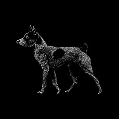Tenterfield Terrier hand drawing vector illustration isolated on black background
