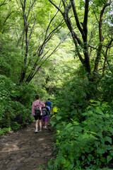 Fototapeta premium young woman descending in the ravine, vegetation and trees, huentitan ravine guadalajara, mexico