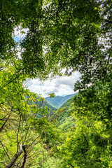 葉っぱの隙間から顔を出す山々